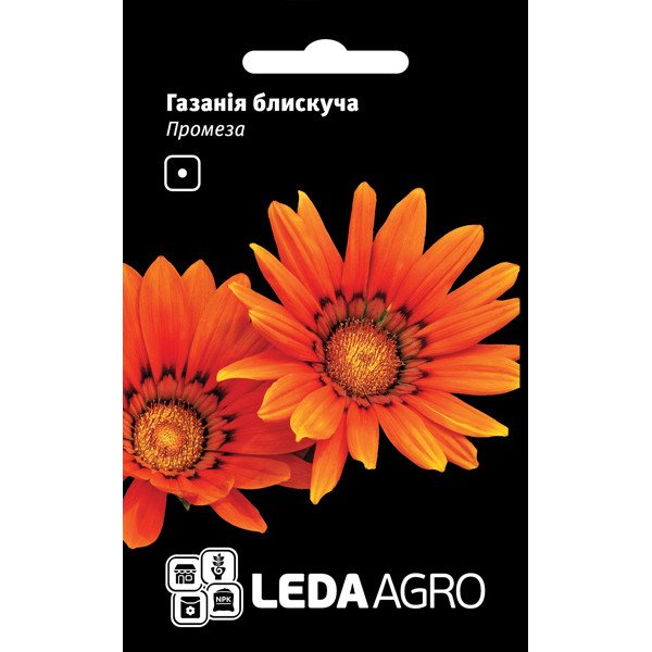 Насіння газанії блискуча Промеза /5 шт/ *LedaAgro*
