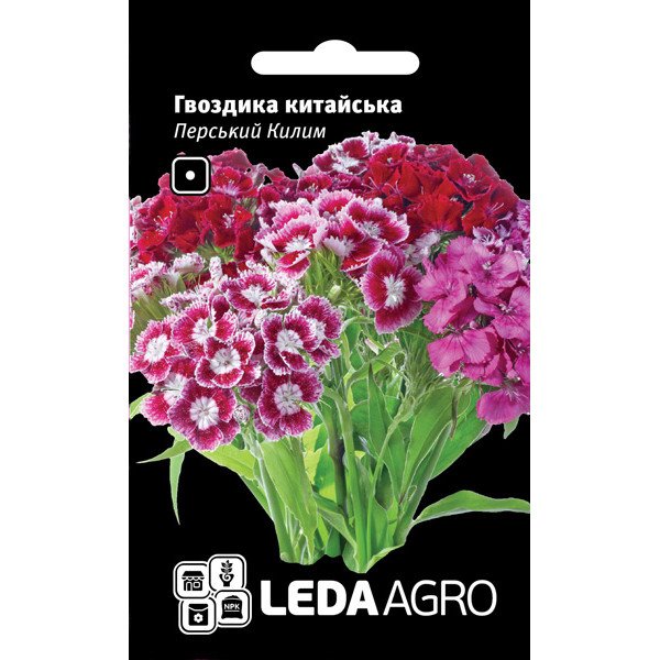 Насіння гвоздики китайської Перський Килим /0,1 г/ *LedaAgro*