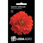 Гравілат чилійський Госпожа Бредшоу /0,1 г/ *LedaAgro*