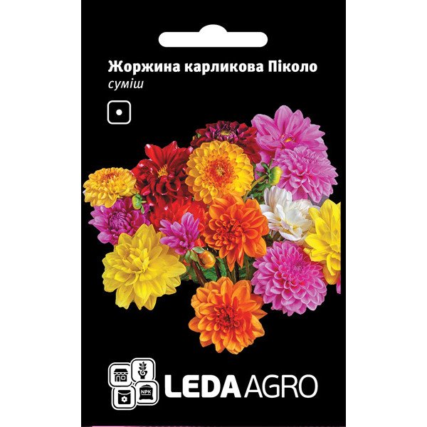 Насіння жоржини Піколо суміш /0,2 г/ *LedaAgro*