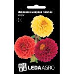 Георгина Помпон смесь /0,2 г/ *LedaAgro*