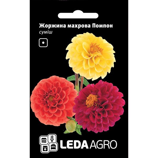 Семена георгины Помпон смесь /0,2 г/ *LedaAgro*