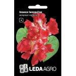 Ипомея Император /0,2 г/ *LedaAgro*