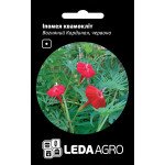 Іпомея квамокліт Вогняний Кардинал /0,5 г/ *LedaAgro*