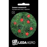 Ипомея квамоклит Кипарисова лоза /0,2 г/ *LedaAgro*