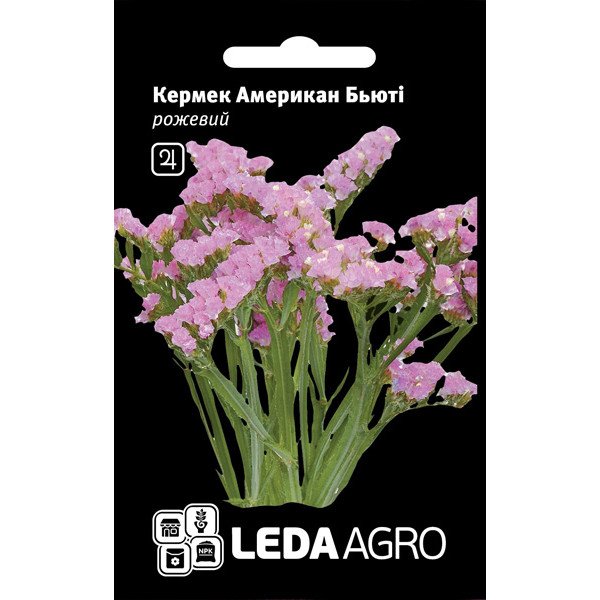 Семена кермека Американ Бьюти /0,15 г/ *LedaAgro*