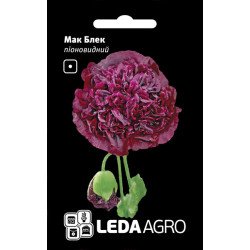 Мак Блек /0,2 г/ *LedaAgro*