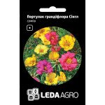 Портулак Сінгл суміш /0,05 г/ *LedaAgro*