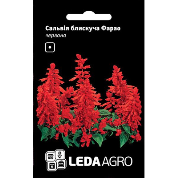 Насіння сальвії блискуча Фарао /0,05 г/ *LedaAgro*