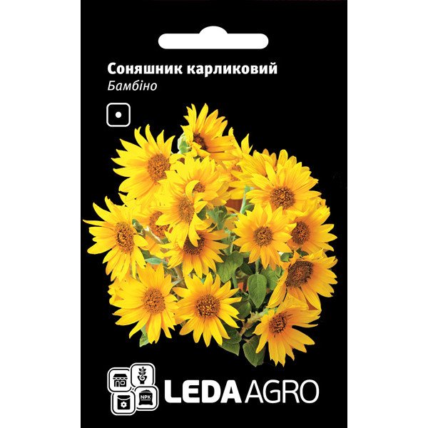 Насіння соняшнику Бамбіно /0,5 г/ *LedaAgro*