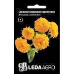 Подсолнечник Плюшевый Мишка /1 г/ *LedaAgro*