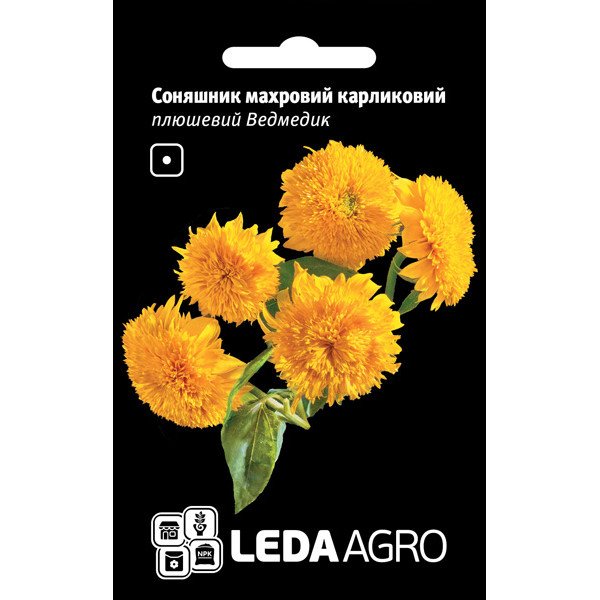 Насіння соняшнику Плюшевий Ведмедик /1 г/ *LedaAgro*