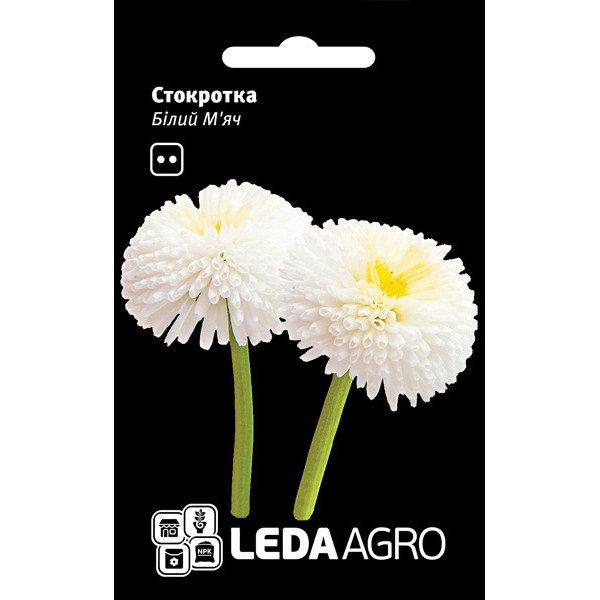 Семена маргаритки Белый Мяч /0,01 г/ *LedaAgro*