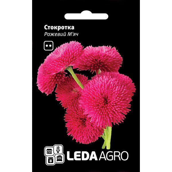 Насіння маргаритки Рожевий М'яч /0,01 г/ *LedaAgro*