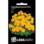 Бархатцы Патит желтые /0,25 г/ *LedaAgro*
