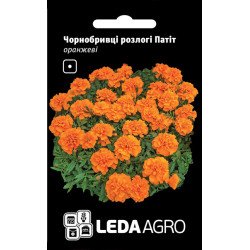 Бархатцы Патит оранжевые /0,25 г/ *LedaAgro*