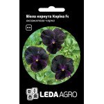 Виола Корина F1 бархатно-черная /10 семян/ *LedaAgro*