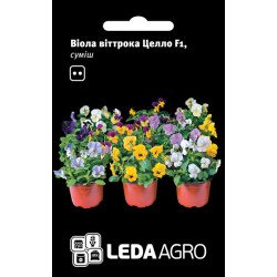 Віола Целло F1 суміш /10 насінин/ *LedaAgro*