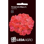 Пеларгония Мирка F1 /5 семян/ *LedaAgro*