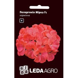Пеларгонія Мірка F1 /5 насінин/ *LedaAgro*