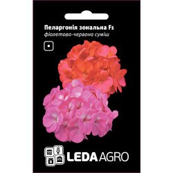 Пеларгония Зональная F1 смесь /5 семян/ *LedaAgro*