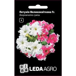 Петунія Великоквіткова F1 суміш /10 насінин/ *LedaAgro*