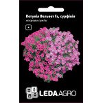 Петунія Вельвет F1 суміш /5 насінин/ *LedaAgro*