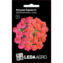 Петуния Карлик F1 смесь /10 семян/ *LedaAgro*