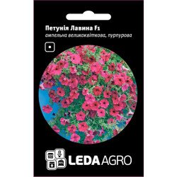 Петуния Лавина F1 пурпурная /10 семян/ *LedaAgro*