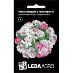 Петуния Поздрав из Яромнерже F1 /10 семян/ *LedaAgro*