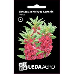 Бальзамин Цветущая Камелия /0,5 г/ *LedaAgro*