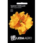 Гравілат чилійський Леді Стратхеден /0,1/ *LedaAgro*