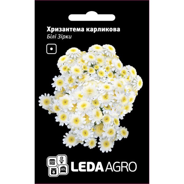 Насіння хризантеми карликова Білі зірки /0,2 г/ *LedaAgro*