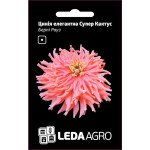 Цинія Супер Кактус Берпі Роуз /0,3 г/ *LedaAgro*