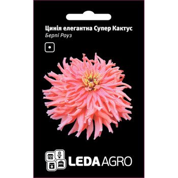 Цинния Супер Кактус Берпи Роуз /0,3 г/ *LedaAgro*