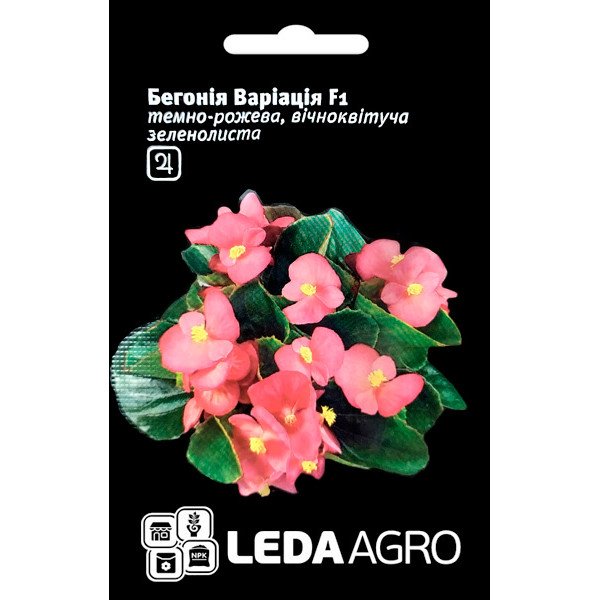 Семена бегонии Вариация F1 /10 семян/ *LedaAgro*