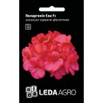 Пеларгония Ева F1 /5 семян/ *LedaAgro*