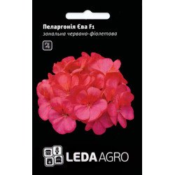 Пеларгонія Єва F1 /5 насінин/ *LedaAgro*