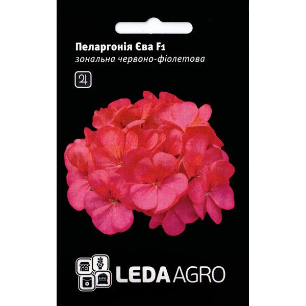 Семена пеларгонии Ева F1 /5 семян/ *LedaAgro*