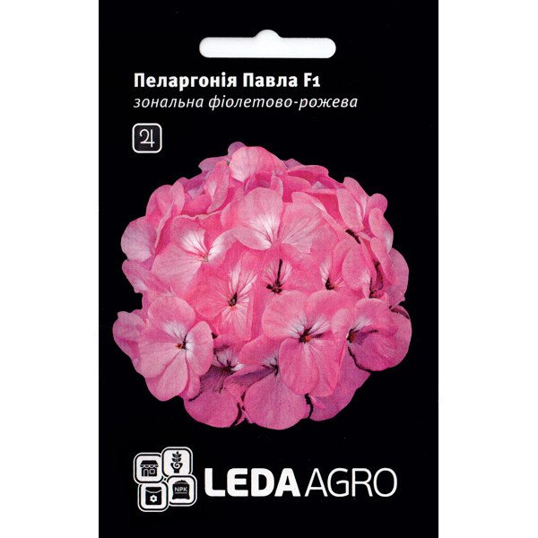Семена пеларгонии Павла F1 /5 семян/ *LedaAgro*