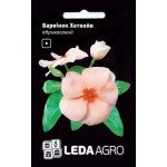 Катарантус Хетвейв абрикосовий /10 насінин/ * LedaAgro *