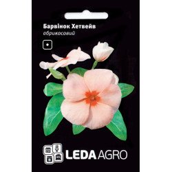 Катарантус Хетвейв абрикосовий /10 насінин/ * LedaAgro *