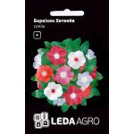 Катарантус Хетвейв смесь /10 семян/ *LedaAgro*