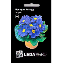 Примула Аккорд голубая /10 семян/ *LedaAgro*