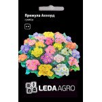 Примула Аккорд суміш /10 насінин/ *LedaAgro*