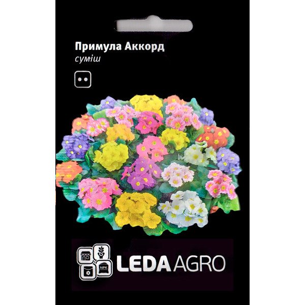 Насіння примули Аккорд суміш /10 насінин/ *LedaAgro*