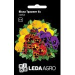 Виола Трампет S1 смесь /10 семян/ *LedaAgro*