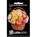 Гелихризум Швейцарские Гиганты смесь /0,2 г/ *LedaAgro*