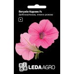Петунія Карлик F1 темно-рожева /10 насінин/ *LedaAgro*