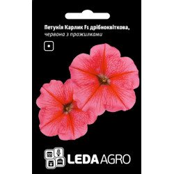 Петуния Карлик F1 красная с прожилкой /10 семян/ *LedaAgro*